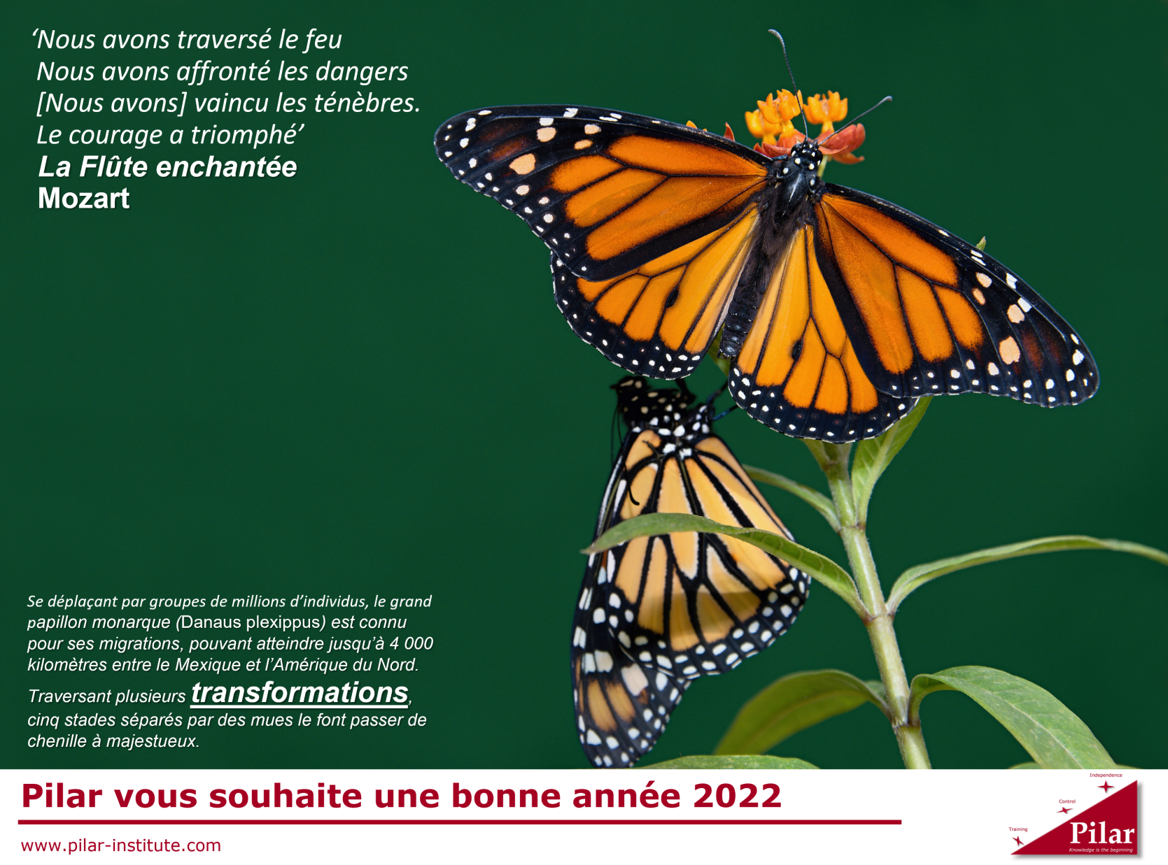 Pilar vous souhaite une bonne année 2022