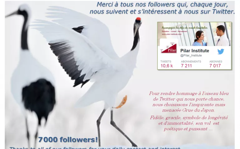 7 000 abonnés sur Twitter !